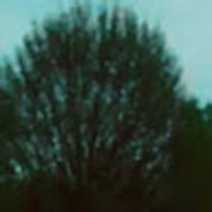 Meet your Posher, Bertram's